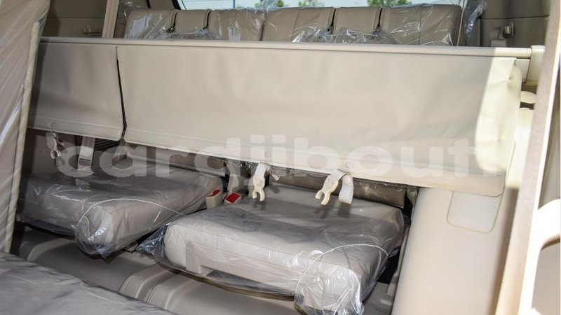 Big with watermark 8