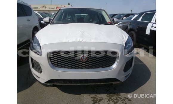 Acheter Import Voiture Jaguar E-Pace Blanc à Import - Dubai, Ali Sabieh Region Acheter Import Voiture Jaguar E-Pace Blanc à Import - Dubai, Ali Sabieh Region
