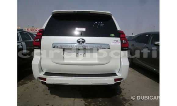 Acheter Import Voiture Toyota Prado Blanc à Import - Dubai, Ali Sabieh Region Acheter Import Voiture Toyota Prado Blanc à Import - Dubai, Ali Sabieh Region
