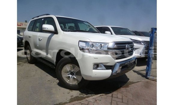 Acheter Import Voiture Toyota Land Cruiser Blanc à Import - Dubai, Ali Sabieh Region Acheter Import Voiture Toyota Land Cruiser Blanc à Import - Dubai, Ali Sabieh Region