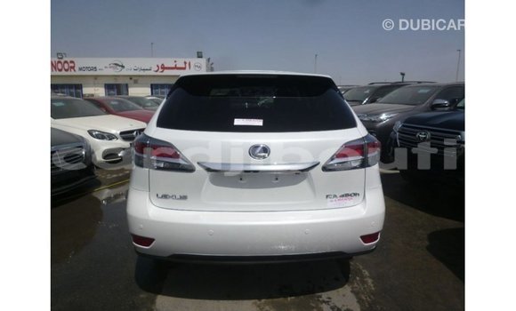 Acheter Import Voiture Lexus RX Blanc à Import - Dubai, Ali Sabieh Region Acheter Import Voiture Lexus RX Blanc à Import - Dubai, Ali Sabieh Region