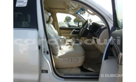 Acheter Import Voiture Toyota Land Cruiser Blanc à Import - Dubai, Ali Sabieh Region Acheter Import Voiture Toyota Land Cruiser Blanc à Import - Dubai, Ali Sabieh Region