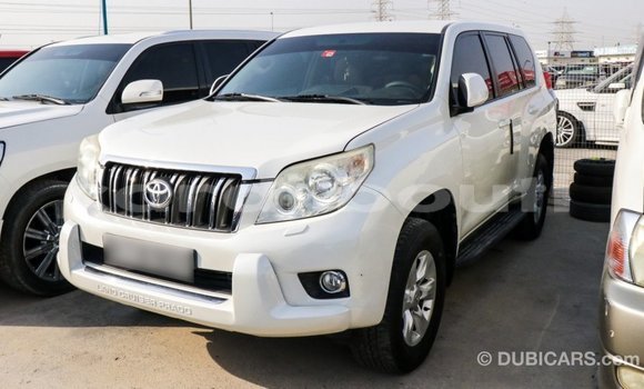 Buy Import Toyota Prado White Car in Import - Dubai in Ali Sabieh Region Buy Import Toyota Prado White Car in Import - Dubai in Ali Sabieh Region