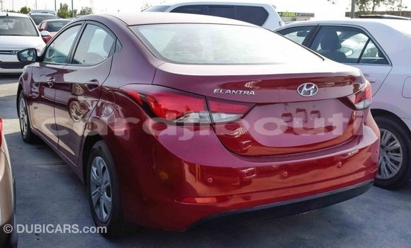Buy Import Hyundai Elantra Red Car in Import - Dubai in Ali Sabieh Region Buy Import Hyundai Elantra Red Car in Import - Dubai in Ali Sabieh Region