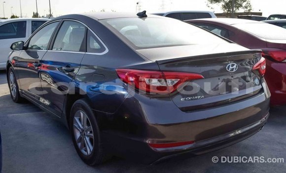 Buy Import Hyundai Sonata Brown Car in Import - Dubai in Ali Sabieh Region Buy Import Hyundai Sonata Brown Car in Import - Dubai in Ali Sabieh Region