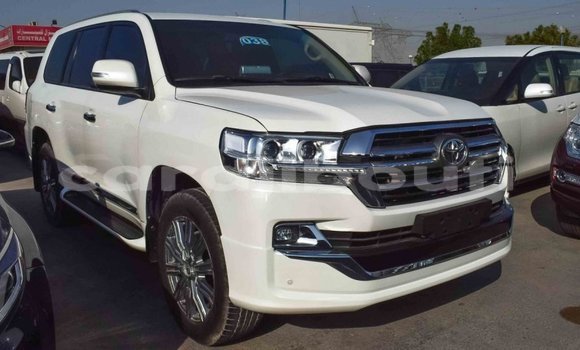 Acheter Import Voiture Toyota Land Cruiser Blanc à Import - Dubai, Ali Sabieh Region Acheter Import Voiture Toyota Land Cruiser Blanc à Import - Dubai, Ali Sabieh Region