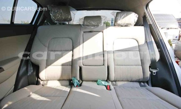 Buy Import Kia Sportage Other Car in Import - Dubai in Ali Sabieh Region Buy Import Kia Sportage Other Car in Import - Dubai in Ali Sabieh Region