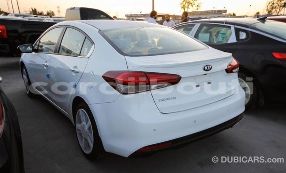 Buy Import Kia Cerato White Car in Import - Dubai in Ali Sabieh Region Buy Import Kia Cerato White Car in Import - Dubai in Ali Sabieh Region