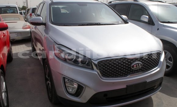 Buy Import Kia Sorento Other Car in Import - Dubai in Ali Sabieh Region Buy Import Kia Sorento Other Car in Import - Dubai in Ali Sabieh Region