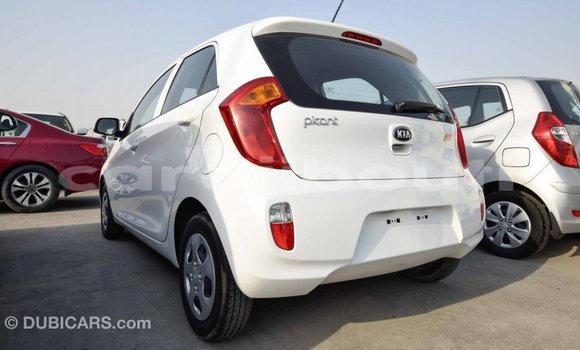 Acheter Import Voiture Kia Picanto Blanc à Import - Dubai, Ali Sabieh Region Acheter Import Voiture Kia Picanto Blanc à Import - Dubai, Ali Sabieh Region