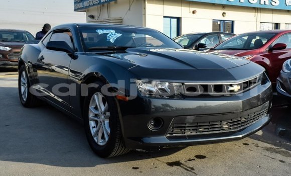 Acheter Import Voiture Chevrolet Camaro Autre à Import - Dubai, Ali Sabieh Region