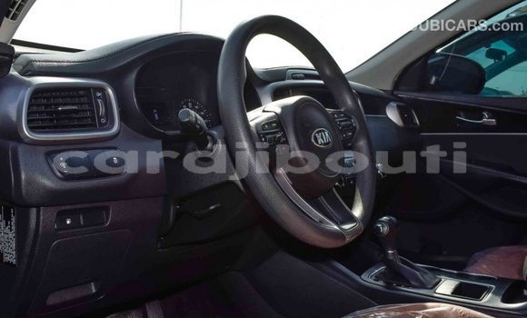 Buy Import Kia Sorento Black Car in Import - Dubai in Ali Sabieh Region Buy Import Kia Sorento Black Car in Import - Dubai in Ali Sabieh Region