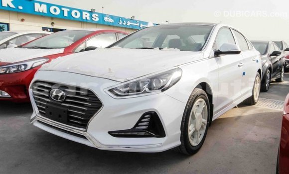Buy Import Hyundai Sonata White Car in Import - Dubai in Ali Sabieh Region Buy Import Hyundai Sonata White Car in Import - Dubai in Ali Sabieh Region