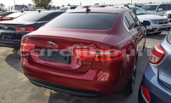 Buy Import Jaguar XE Red Car in Import - Dubai in Ali Sabieh Region Buy Import Jaguar XE Red Car in Import - Dubai in Ali Sabieh Region