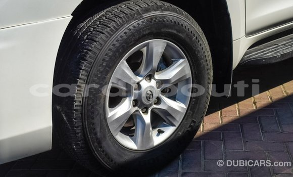 Acheter Import Voiture Toyota Prado Blanc à Import - Dubai, Ali Sabieh Region Acheter Import Voiture Toyota Prado Blanc à Import - Dubai, Ali Sabieh Region