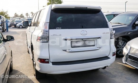 Buy Import Lexus GX White Car in Import - Dubai in Ali Sabieh Region Buy Import Lexus GX White Car in Import - Dubai in Ali Sabieh Region