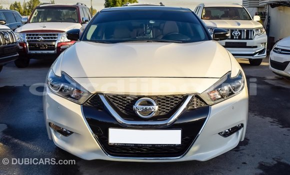 Buy Import Nissan Maxima White Car in Import - Dubai in Ali Sabieh Region Buy Import Nissan Maxima White Car in Import - Dubai in Ali Sabieh Region