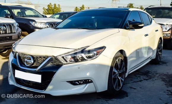 Buy Import Nissan Maxima White Car in Import - Dubai in Ali Sabieh Region Buy Import Nissan Maxima White Car in Import - Dubai in Ali Sabieh Region