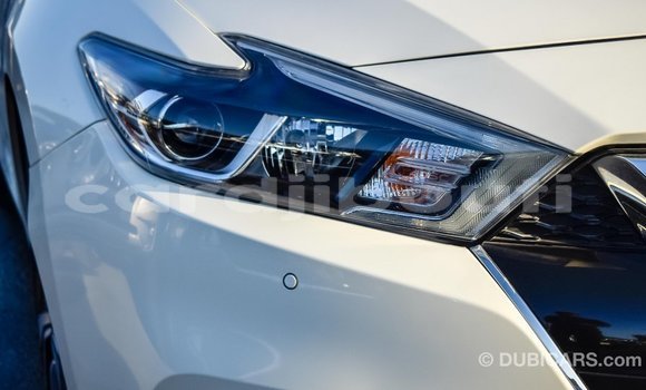 Buy Import Nissan Maxima White Car in Import - Dubai in Ali Sabieh Region Buy Import Nissan Maxima White Car in Import - Dubai in Ali Sabieh Region