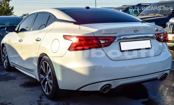 Buy Import Nissan Maxima White Car in Import - Dubai in Ali Sabieh Region Buy Import Nissan Maxima White Car in Import - Dubai in Ali Sabieh Region