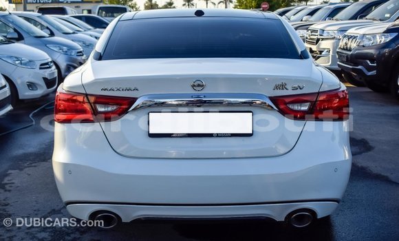 Buy Import Nissan Maxima White Car in Import - Dubai in Ali Sabieh Region Buy Import Nissan Maxima White Car in Import - Dubai in Ali Sabieh Region