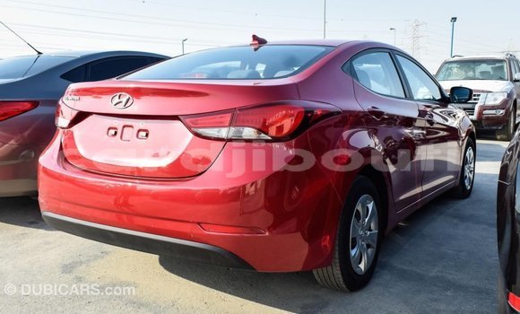Buy Import Hyundai Elantra Red Car in Import - Dubai in Ali Sabieh Region Buy Import Hyundai Elantra Red Car in Import - Dubai in Ali Sabieh Region
