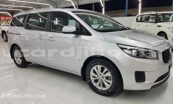 Acheter Import Voiture Kia Carnival Autre à Import - Dubai, Ali Sabieh Region Acheter Import Voiture Kia Carnival Autre à Import - Dubai, Ali Sabieh Region