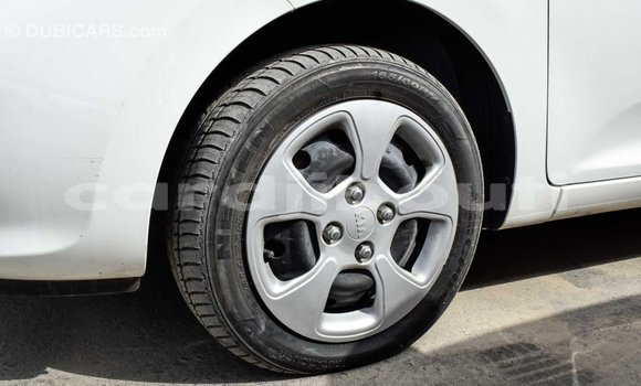 Buy Import Kia Picanto White Car in Import - Dubai in Ali Sabieh Region Buy Import Kia Picanto White Car in Import - Dubai in Ali Sabieh Region