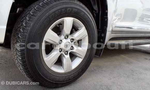 Buy Import Toyota Prado Other Car in Import - Dubai in Ali Sabieh Region Buy Import Toyota Prado Other Car in Import - Dubai in Ali Sabieh Region