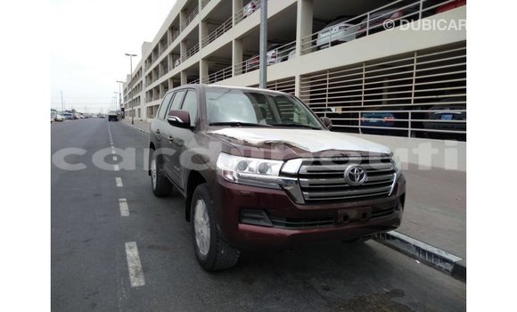Acheter Import Voiture Toyota Land Cruiser Marron à Import - Dubai, Ali Sabieh Region Acheter Import Voiture Toyota Land Cruiser Marron à Import - Dubai, Ali Sabieh Region