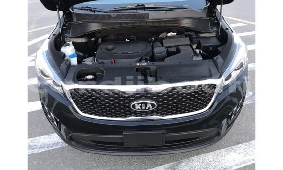 Buy Import Kia Sorento Black Car in Import - Dubai in Ali Sabieh Region Buy Import Kia Sorento Black Car in Import - Dubai in Ali Sabieh Region