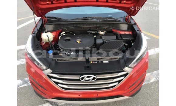 Buy Import Hyundai Tucson Red Car in Import - Dubai in Ali Sabieh Region Buy Import Hyundai Tucson Red Car in Import - Dubai in Ali Sabieh Region