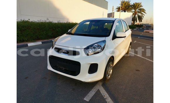 Buy Import Kia Picanto White Car in Import - Dubai in Ali Sabieh Region Buy Import Kia Picanto White Car in Import - Dubai in Ali Sabieh Region