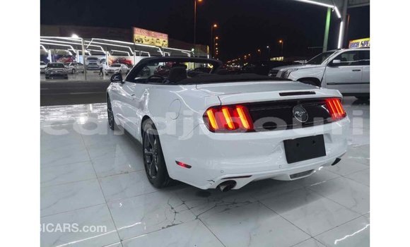 Acheter Import Voiture Ford Mustang Blanc à Import - Dubai, Ali Sabieh Region Acheter Import Voiture Ford Mustang Blanc à Import - Dubai, Ali Sabieh Region