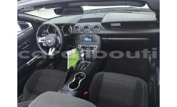 Acheter Import Voiture Ford Mustang Blanc à Import - Dubai, Ali Sabieh Region Acheter Import Voiture Ford Mustang Blanc à Import - Dubai, Ali Sabieh Region