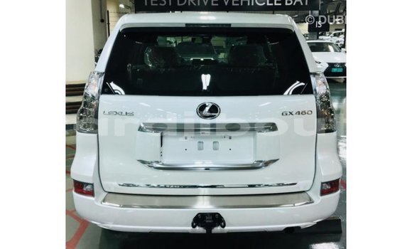 Acheter Import Voiture Lexus GX Blanc à Import - Dubai, Ali Sabieh Region Acheter Import Voiture Lexus GX Blanc à Import - Dubai, Ali Sabieh Region