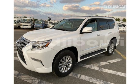 Buy Import Lexus GX White Car in Import - Dubai in Ali Sabieh Region Buy Import Lexus GX White Car in Import - Dubai in Ali Sabieh Region