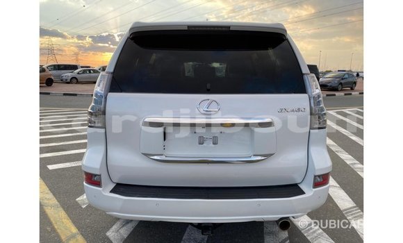 Buy Import Lexus GX White Car in Import - Dubai in Ali Sabieh Region Buy Import Lexus GX White Car in Import - Dubai in Ali Sabieh Region