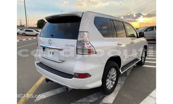 Buy Import Lexus GX White Car in Import - Dubai in Ali Sabieh Region Buy Import Lexus GX White Car in Import - Dubai in Ali Sabieh Region