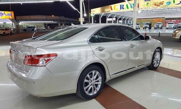 Acheter Import Voiture Lexus ES Autre à Import - Dubai, Ali Sabieh Region Acheter Import Voiture Lexus ES Autre à Import - Dubai, Ali Sabieh Region