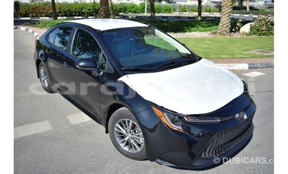 Acheter Import Voiture Toyota Corolla Noir à Import - Dubai, Ali Sabieh Region Acheter Import Voiture Toyota Corolla Noir à Import - Dubai, Ali Sabieh Region