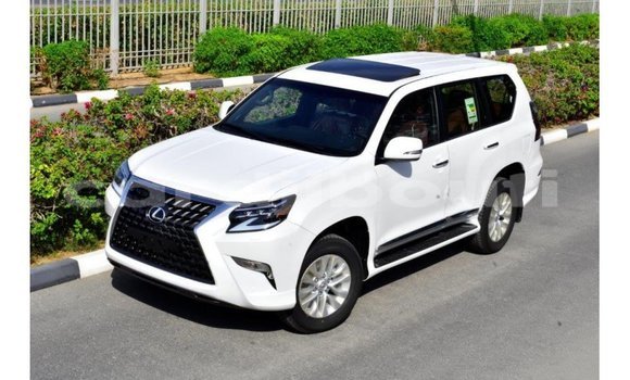 Acheter Import Voiture Lexus GX Blanc à Import - Dubai, Ali Sabieh Region Acheter Import Voiture Lexus GX Blanc à Import - Dubai, Ali Sabieh Region