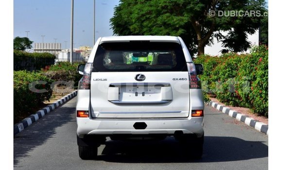 Acheter Import Voiture Lexus GX Blanc à Import - Dubai, Ali Sabieh Region Acheter Import Voiture Lexus GX Blanc à Import - Dubai, Ali Sabieh Region
