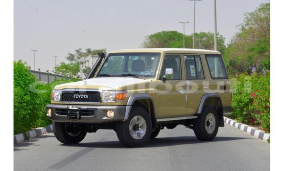 Acheter Import Voiture Toyota Land Cruiser Beige à Import - Dubai, Ali Sabieh Region Acheter Import Voiture Toyota Land Cruiser Beige à Import - Dubai, Ali Sabieh Region