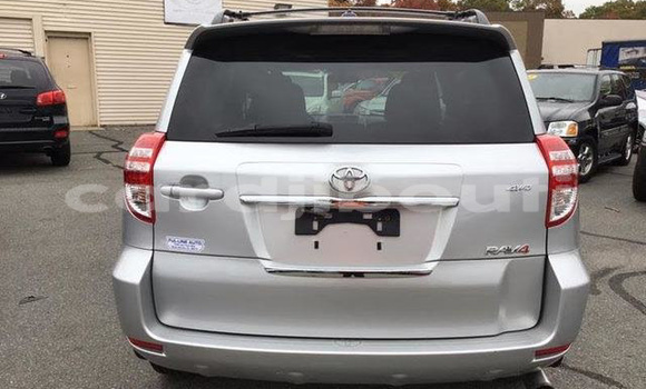 Acheter Occasion Voiture Toyota RAV4 Gris à Alaili Dadda, Obock Acheter Occasion Voiture Toyota RAV4 Gris à Alaili Dadda, Obock
