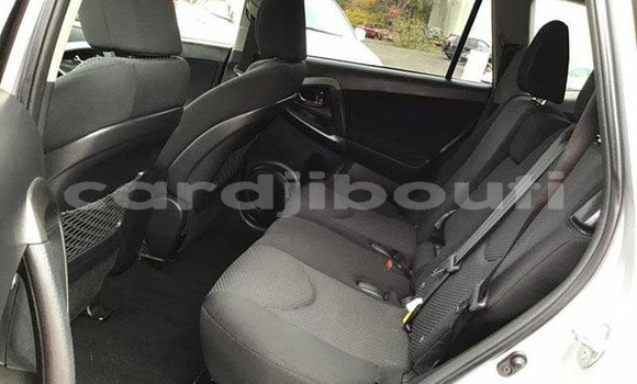 Acheter Occasion Voiture Toyota RAV4 Gris à Alaili Dadda, Obock Acheter Occasion Voiture Toyota RAV4 Gris à Alaili Dadda, Obock