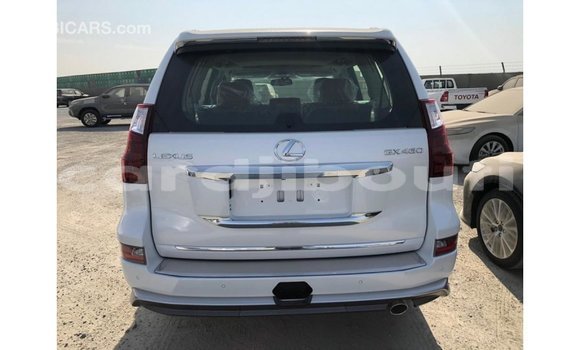 Acheter Import Voiture Lexus GX Blanc à Import - Dubai, Ali Sabieh Region Acheter Import Voiture Lexus GX Blanc à Import - Dubai, Ali Sabieh Region