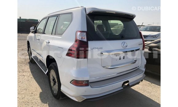 Acheter Import Voiture Lexus GX Blanc à Import - Dubai, Ali Sabieh Region Acheter Import Voiture Lexus GX Blanc à Import - Dubai, Ali Sabieh Region
