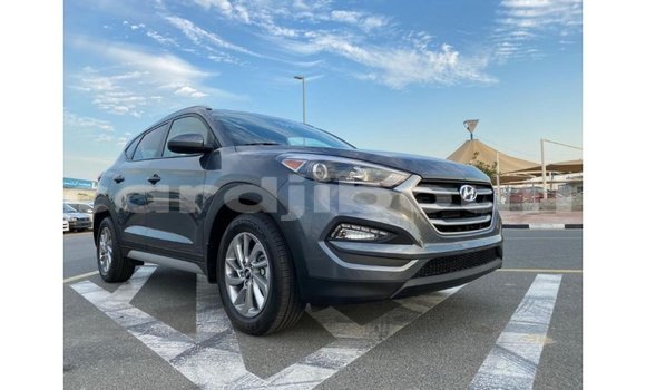 Acheter Import Voiture Hyundai Tucson Blanc à Import - Dubai, Ali Sabieh Region Acheter Import Voiture Hyundai Tucson Blanc à Import - Dubai, Ali Sabieh Region