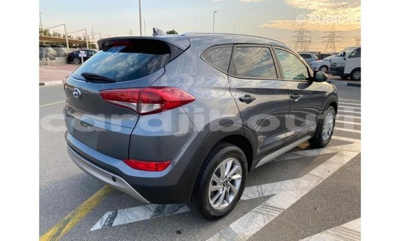 Acheter Import Voiture Hyundai Tucson Blanc à Import - Dubai, Ali Sabieh Region Acheter Import Voiture Hyundai Tucson Blanc à Import - Dubai, Ali Sabieh Region